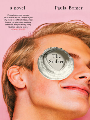 cover image of The Stalker